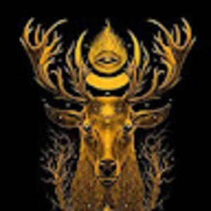 Meet your Posher, Blake